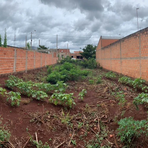 Terreno-para-Venda-em-Pradopolis-Nova-Pradopolis-1